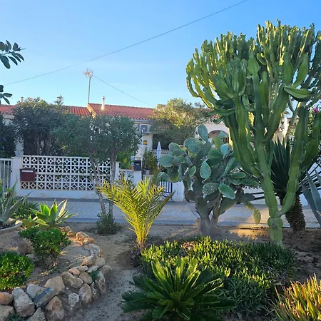 Apartment Holiday Apartments Torrevieja